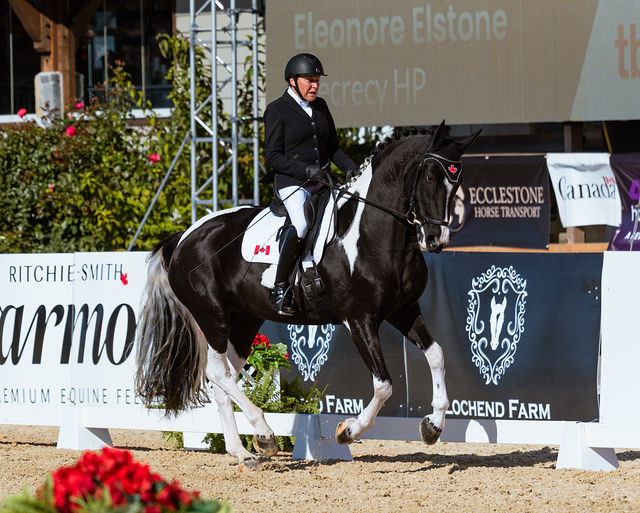 Eleonore Elstone and Szecrecy HP at the National Dressage Championships West. (Photo: Marion Cox Photography)