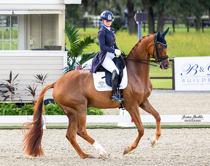 Devon Kane and Vamos won the CDI-W Grand Prix at TerraNova Equestrian Center. (Photo: Eurodressage)