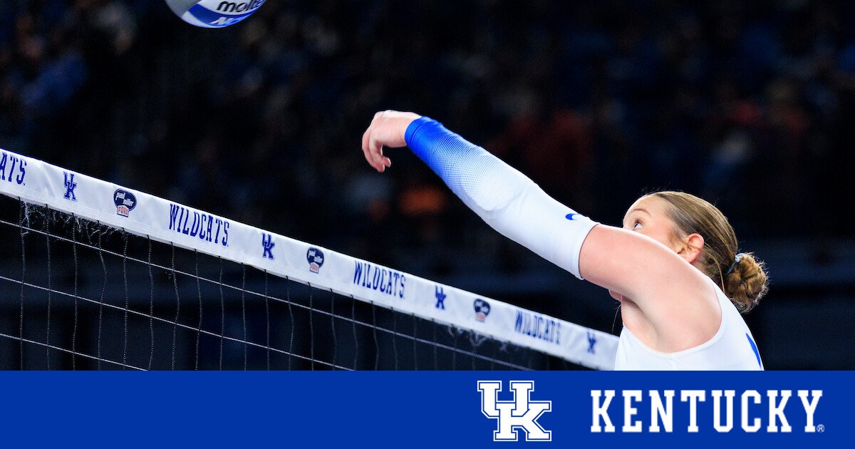 A Kentucky Wildcats volleyball player attacks at the net.