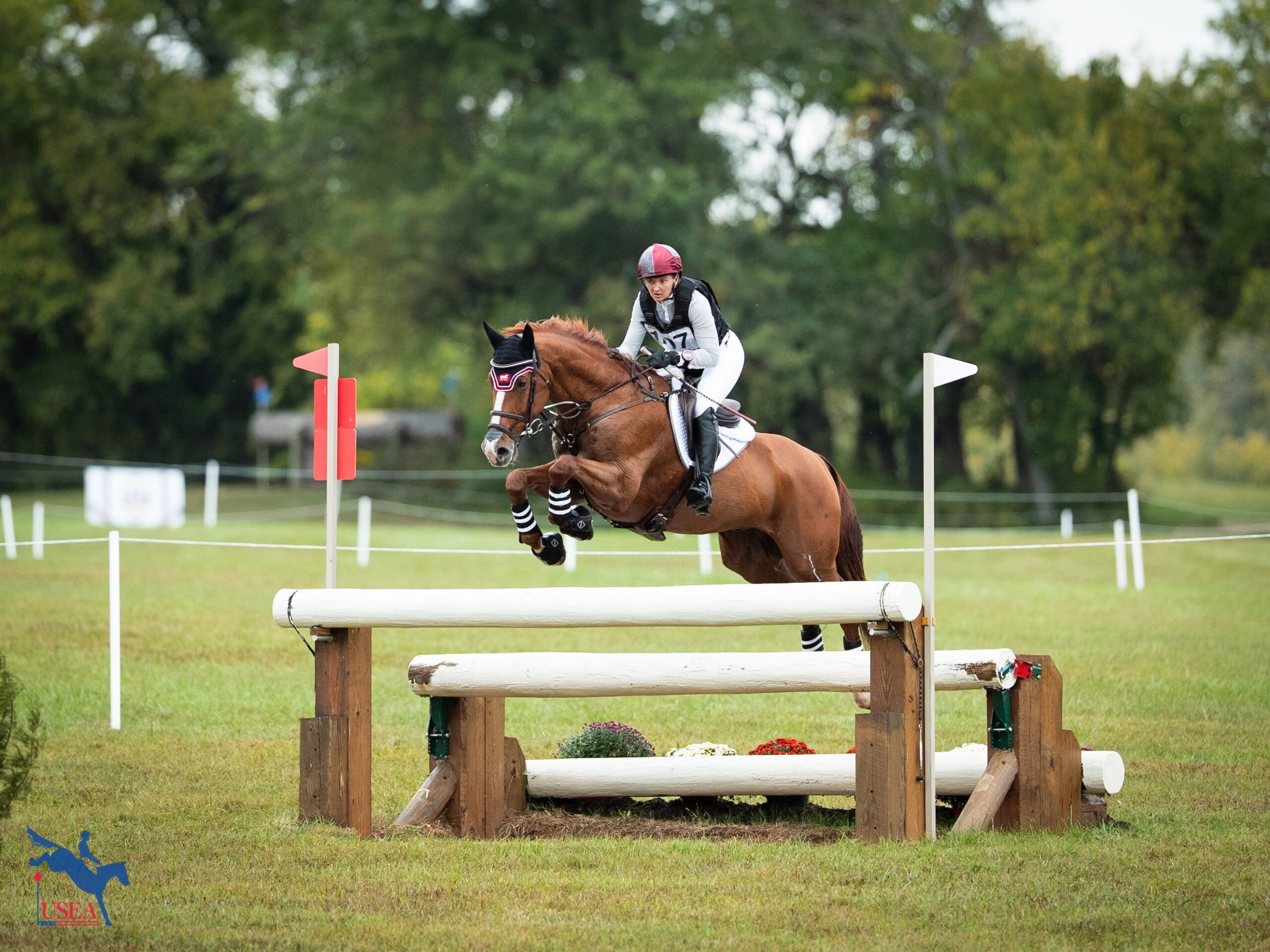 Amber Birtcil and Orpheus at Morven Park. (Photo: US Eventing)
