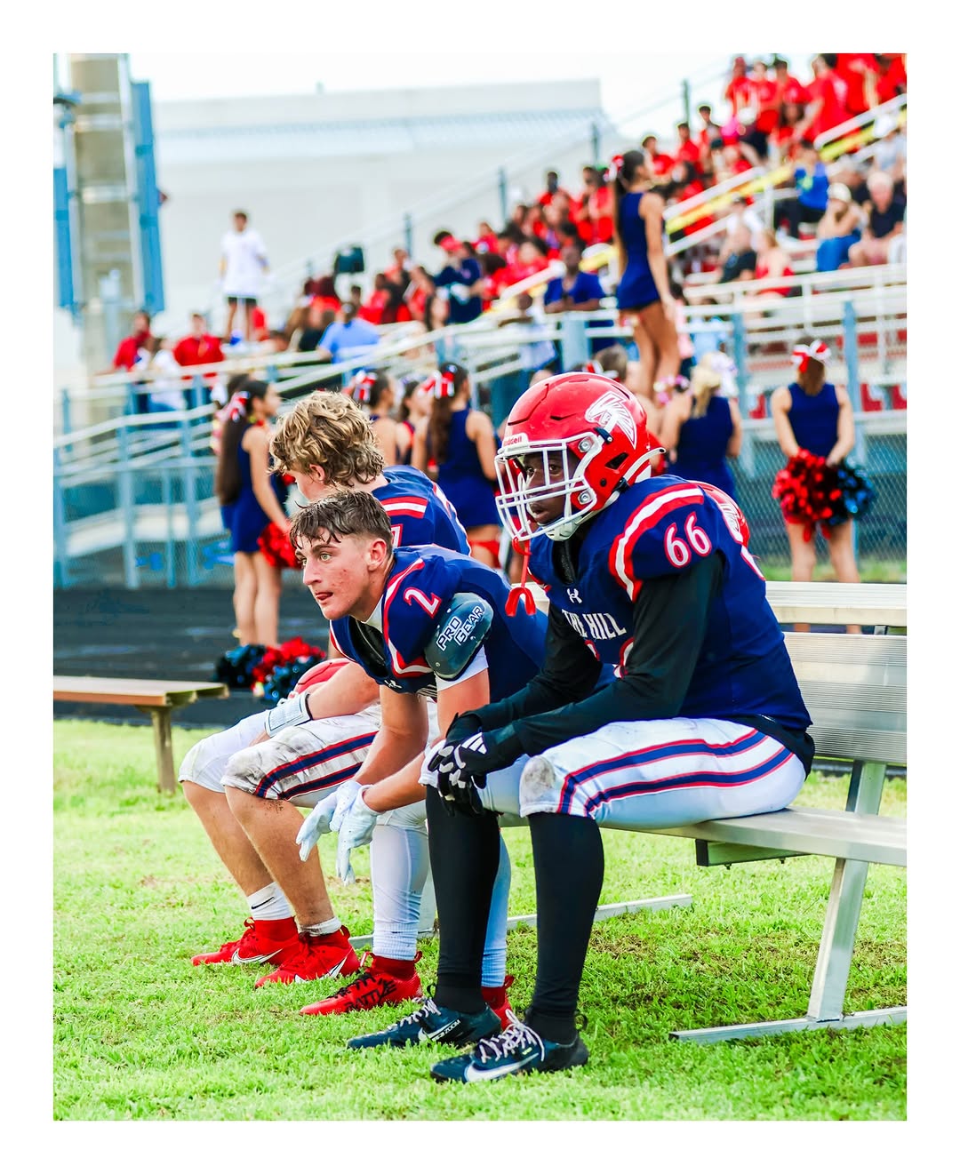 Three Forest Hill Falcons players in navy jerseys and red helmets sit on the bench during a game, cheerleaders and fans in the bleachers behind them