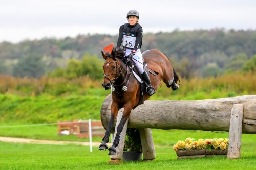 Action from the Strzegom October Festival in Poland. (Photo: Leszek Wojcik / Strzegom October Festival)