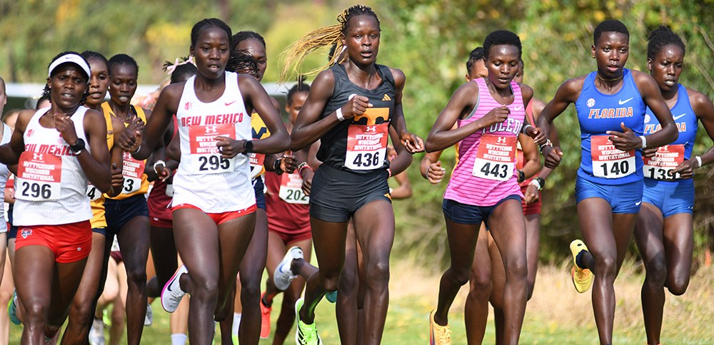 The women's lead pack racing at the Nuttycombe Invitational in Wisconsin