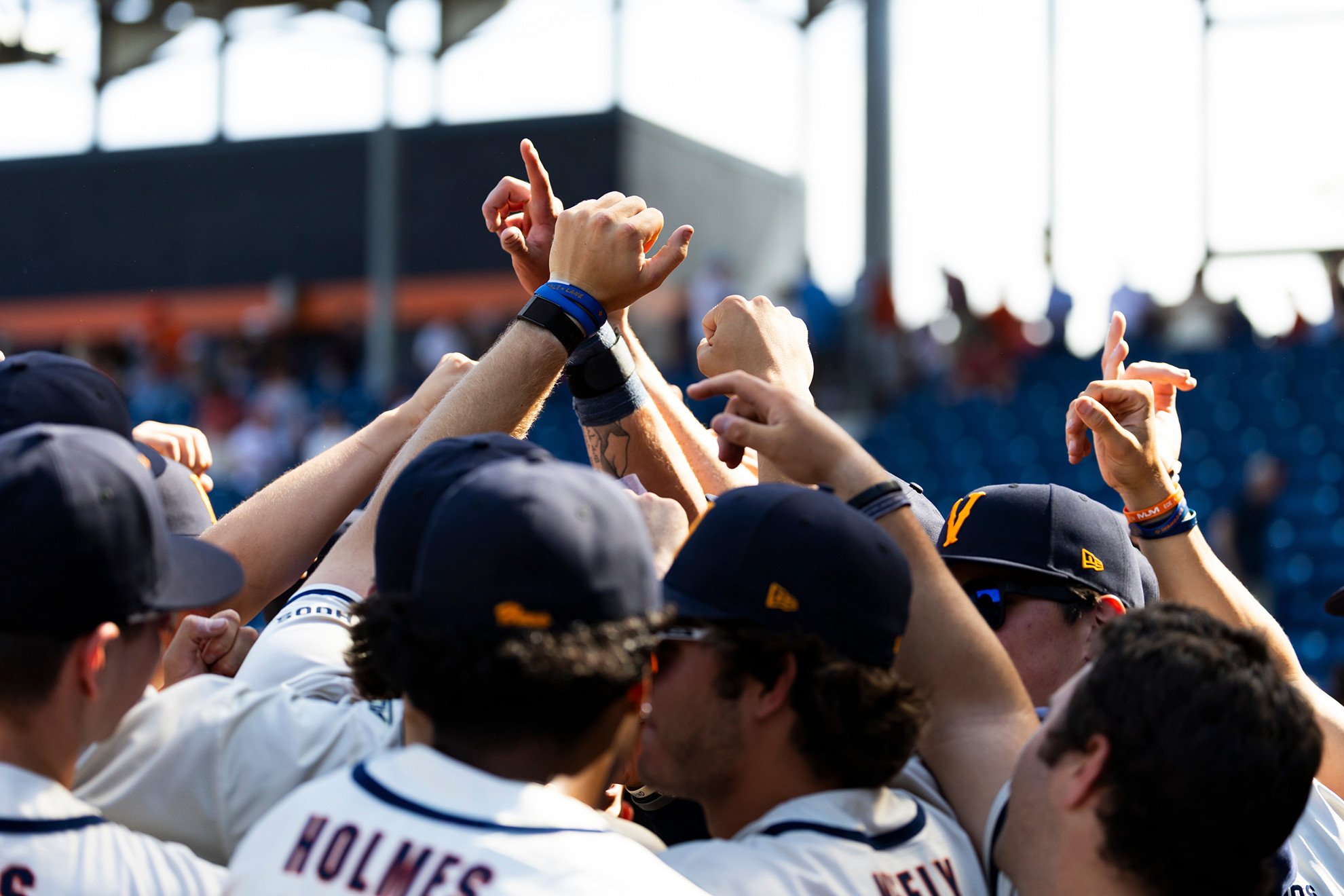 Virginia Cavaliers players celebrate together at Disharoon Park in Charlottesville.